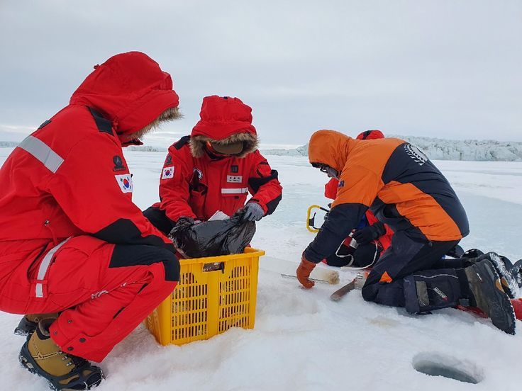 Snow Removal & Salting Management